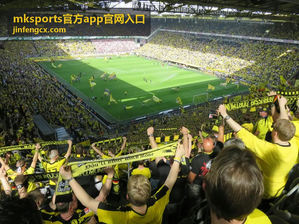 mksports官方app官网入口的三步上手流程演示画面