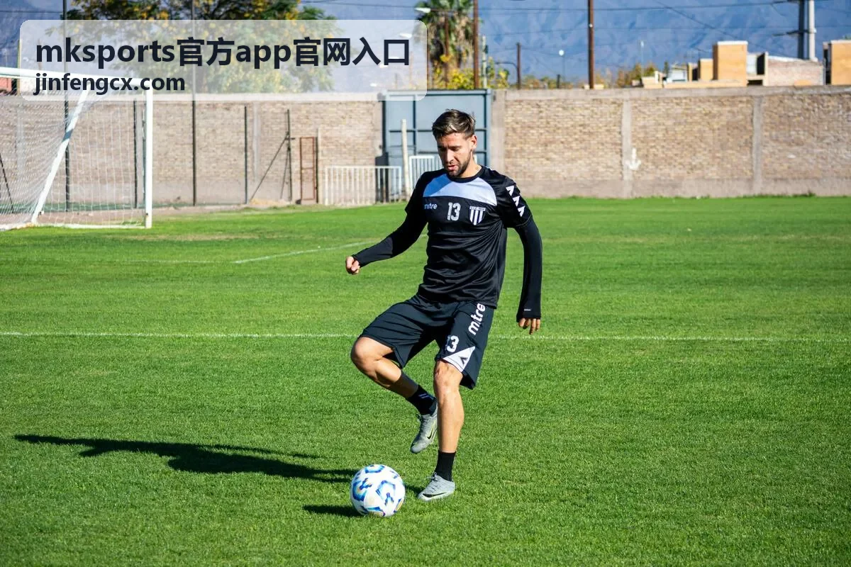 mksports官方app官网入口 常见提示与网络问题排查示意